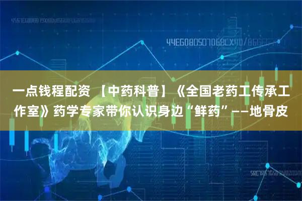 一点钱程配资 【中药科普】《全国老药工传承工作室》药学专家带你认识身边“鲜药”——地骨皮