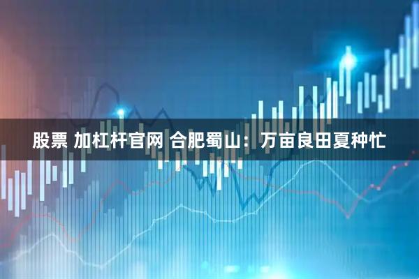 股票 加杠杆官网 合肥蜀山：万亩良田夏种忙